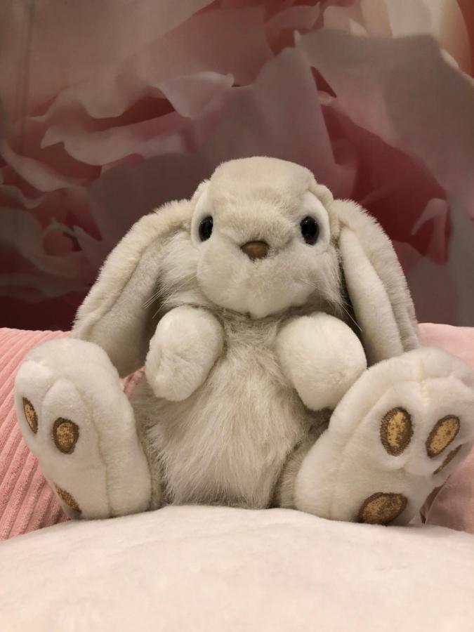 Pan Pan Le Lapin Aubagne-Cassis-Aix En Provence Appartement Buitenkant foto