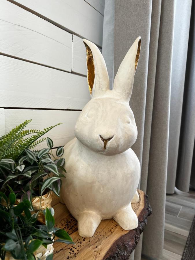 Pan Pan Le Lapin Aubagne-Cassis-Aix En Provence Appartement Buitenkant foto